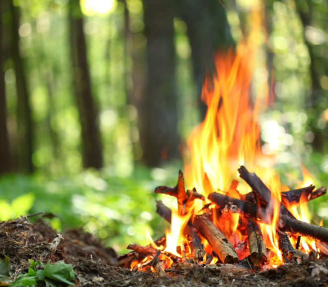 Jak rozpalić ogień w warunkach polowych: Rozpałki naturalne i metody